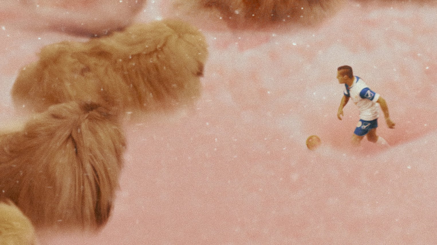 A soccer player kicking a soccer ball in a pink cloudy dream state with large fluffy dogs walking towards him.