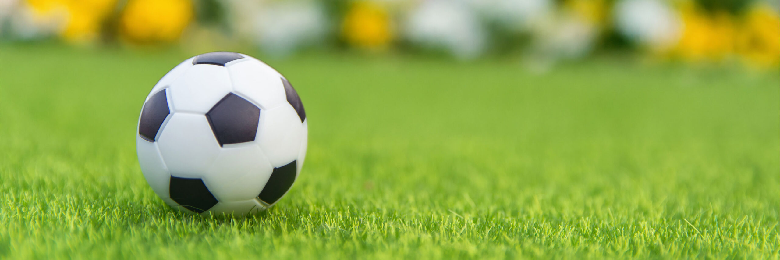 A soccer ball on a field of grass